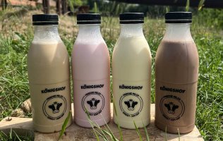 Milch & Milchshakes