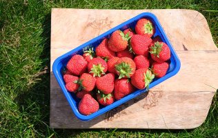 Saisonales Obst