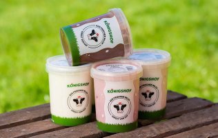 Joghurt & Pudding